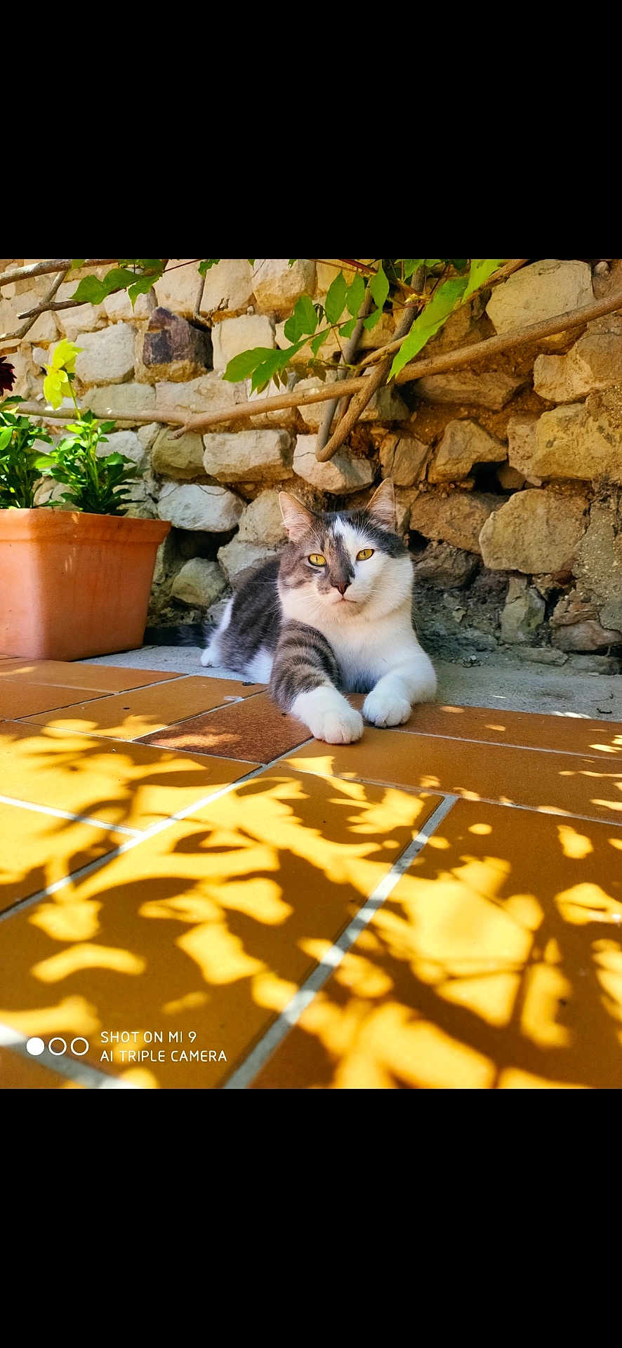Malibu