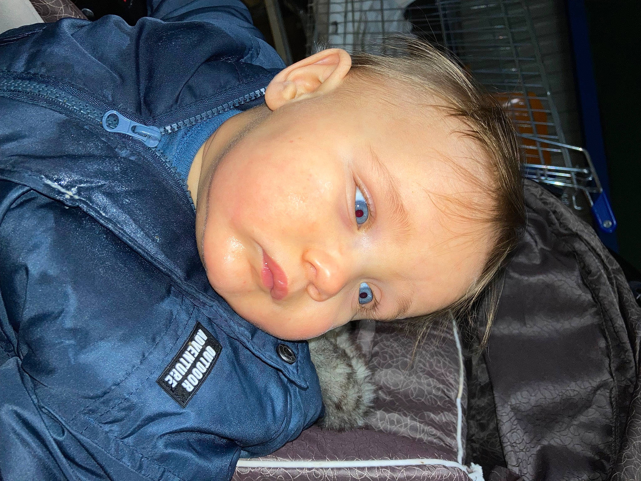 Naël participe au concours pour gagner de l'argent avec cette photo : baby, baby_toddler_clothing, cheek, child, collar, comfort, cool, denim, electric_blue, eyelash, flash_photography, fur, iris, jacket, nose, outerwear, person, portrait_photography, sitting, sleeve