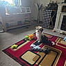 air_conditioner, blanket, carpet, carpet_pattern, cozy, dog, floor, furniture, home, indoor, living_room, pet, photo_frame, plant, puppy, rug, soft_light, toy, vase, window