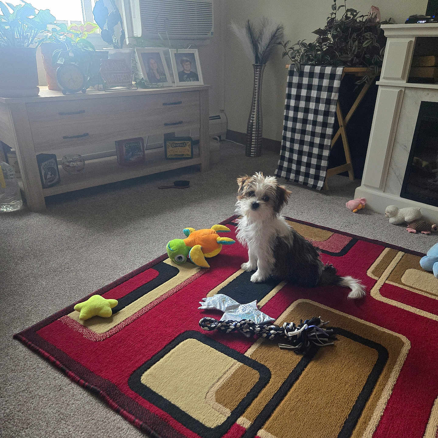 Oliver