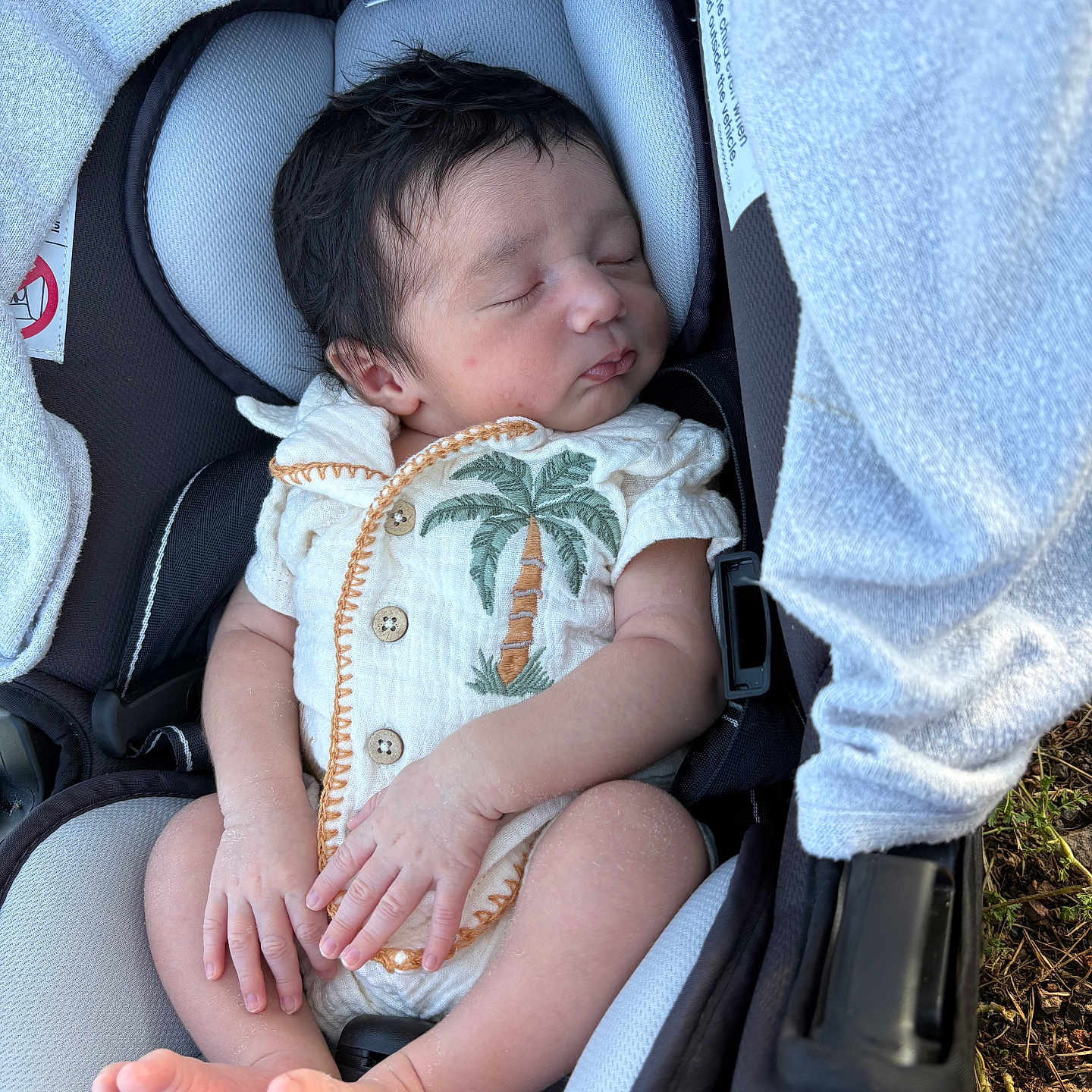 Ismael is registered to the contest to win money with this photo: baby, car_seat, child, closeup, cozy, cute, fabric, feet, hands, indoor, infant, newborn, onesie, palm_tree, peaceful, person, portrait, seat_belt, sleeping, soft