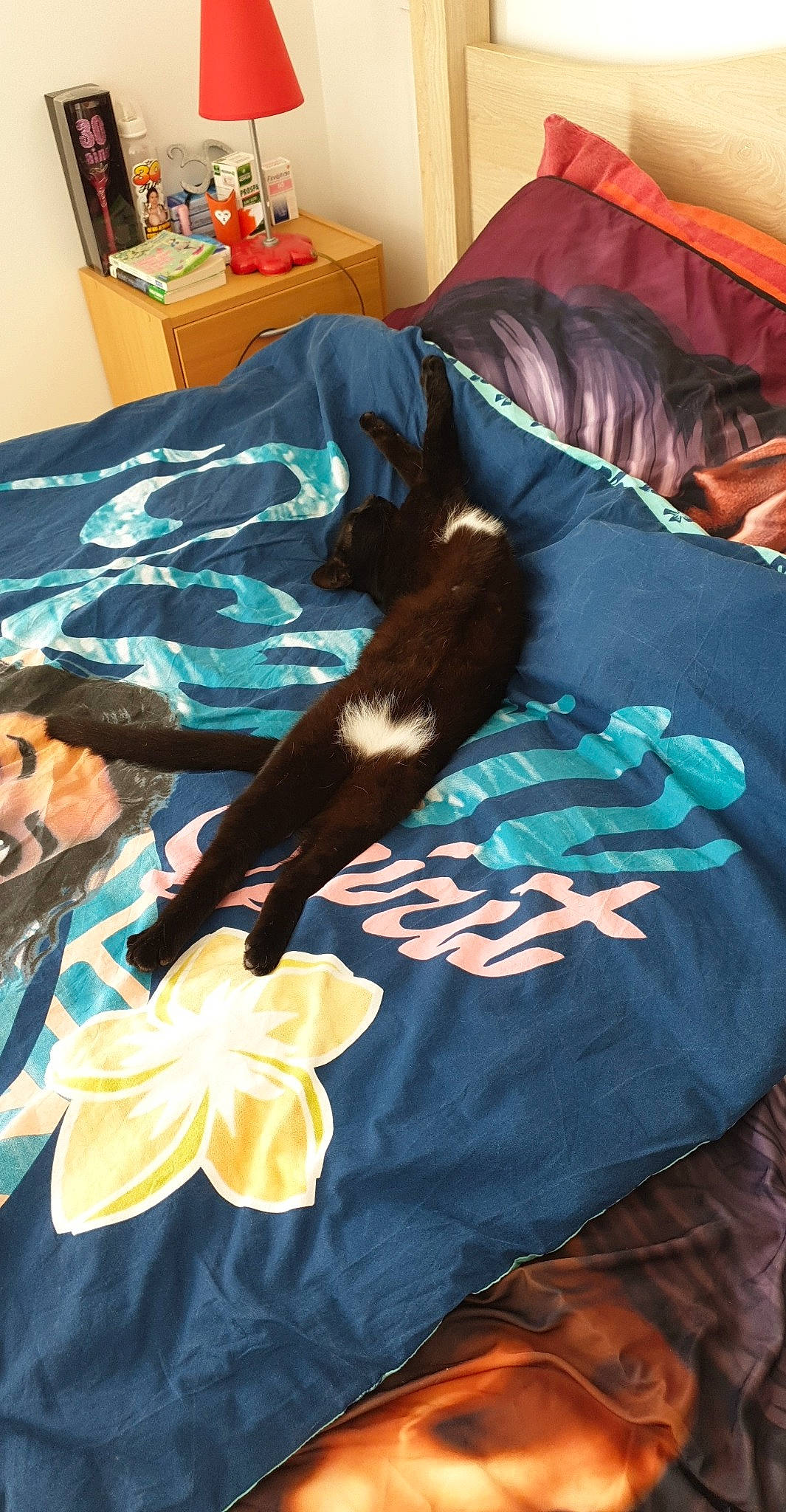 Papaye participe au concours pour gagner de l'argent avec cette photo : bed, bed_sheet, bedding, bedroom, blanket, canidae, carnivore, dog_breed, linens, long_hair, non_sporting_group, room, textile