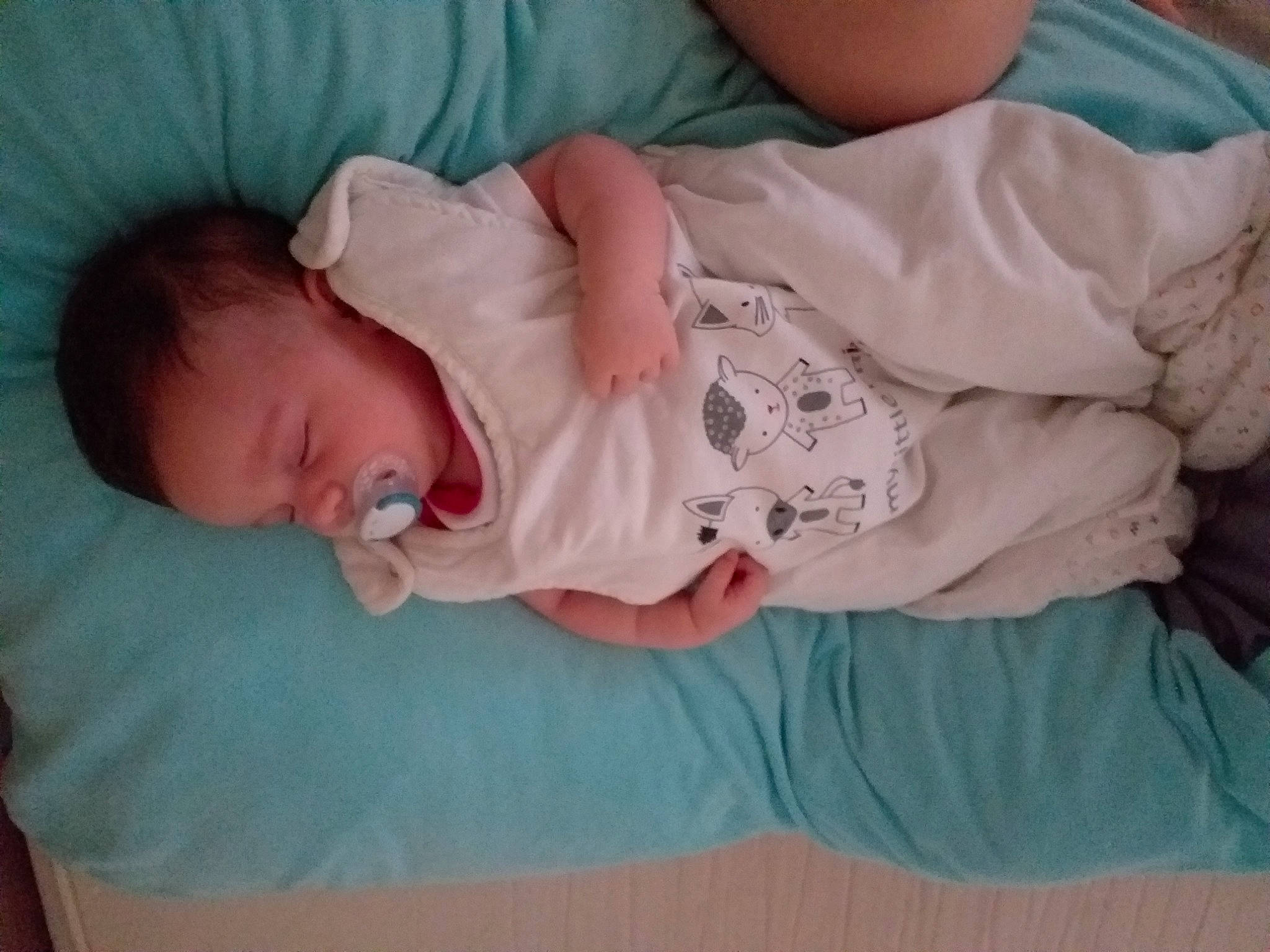 Tess a rejoint le concours — aidez-le/la à gagner de superbes lots ! arm, baby, baby_sleeping, bedtime, birth, cheek, child, comfort, hand, linens, nap, person, product, sleep, textile, toddler