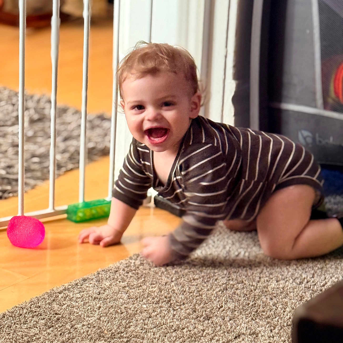 Luca joined the competition — help win amazing prizes! baby, crawling, striped_onesie, carpet, baby_gate, toy_ball, toy_block, indoor, floor, child, happy, smiling, person, young_child, home, wood_floor, play, cute, infant, furniture