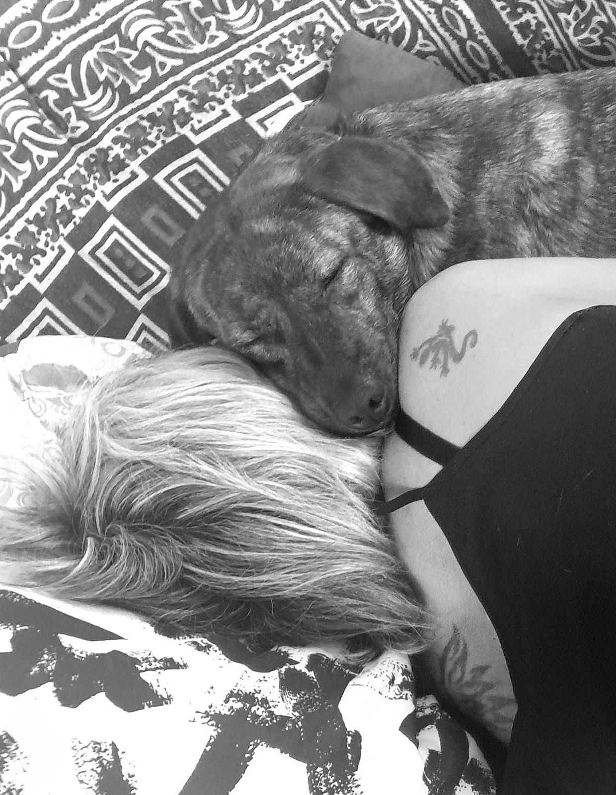 Piana Soeur De Orsi participe au concours pour gagner de l'argent avec cette photo : black, black_and_white, child, font, fur, grass, grey, human_leg, interaction, mammal, monochrome, monochrome_photography, pattern, plant, sitting, style, textile, tree, vertebrate, wrinkle