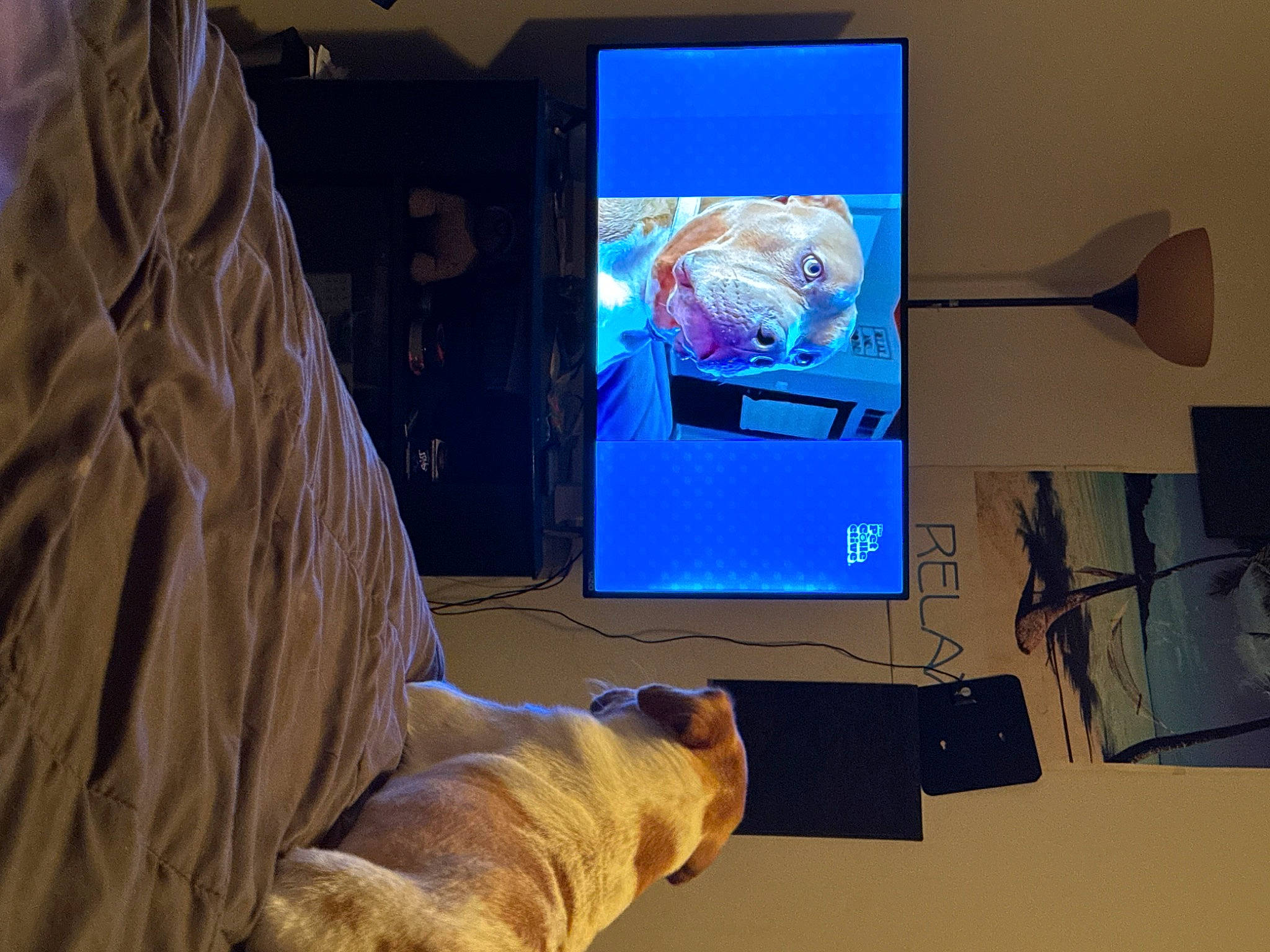 Shelby is registered to the contest to win money with this photo: computer, computer_monitor, computer_monitor_accessory, desktop_computer, display_device, electronic_device, flat_panel_display, gadget, gesture, home_appliance, led_backlit_lcd_display, machine, multimedia, output_device, peripheral, personal_computer, room, space, television, television_set