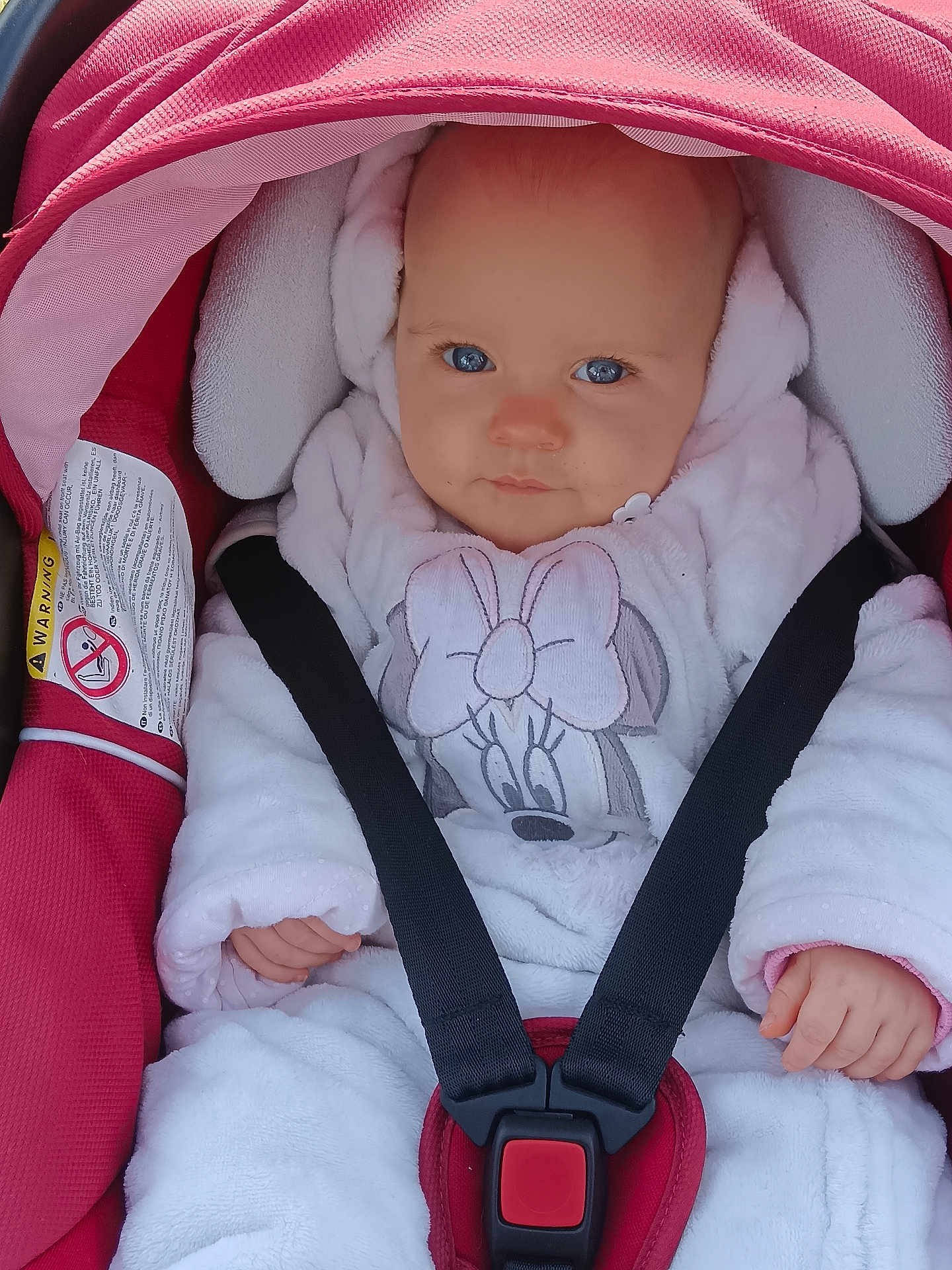 Elvira participe au concours pour gagner de l'argent avec cette photo : baby, child, car_seat, infant, blue_eyes, onesie, minnie_mouse, seatbelt, red, white, cute, portrait, indoors, warm_clothing, newborn, baby_hand, soft_texture, face, sitting, safety