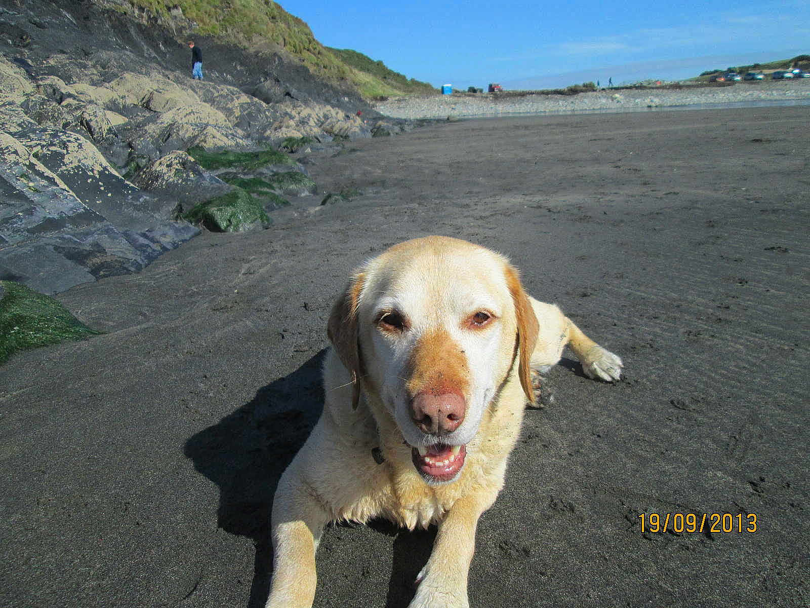 Loki is registered to the contest to win money with this photo: