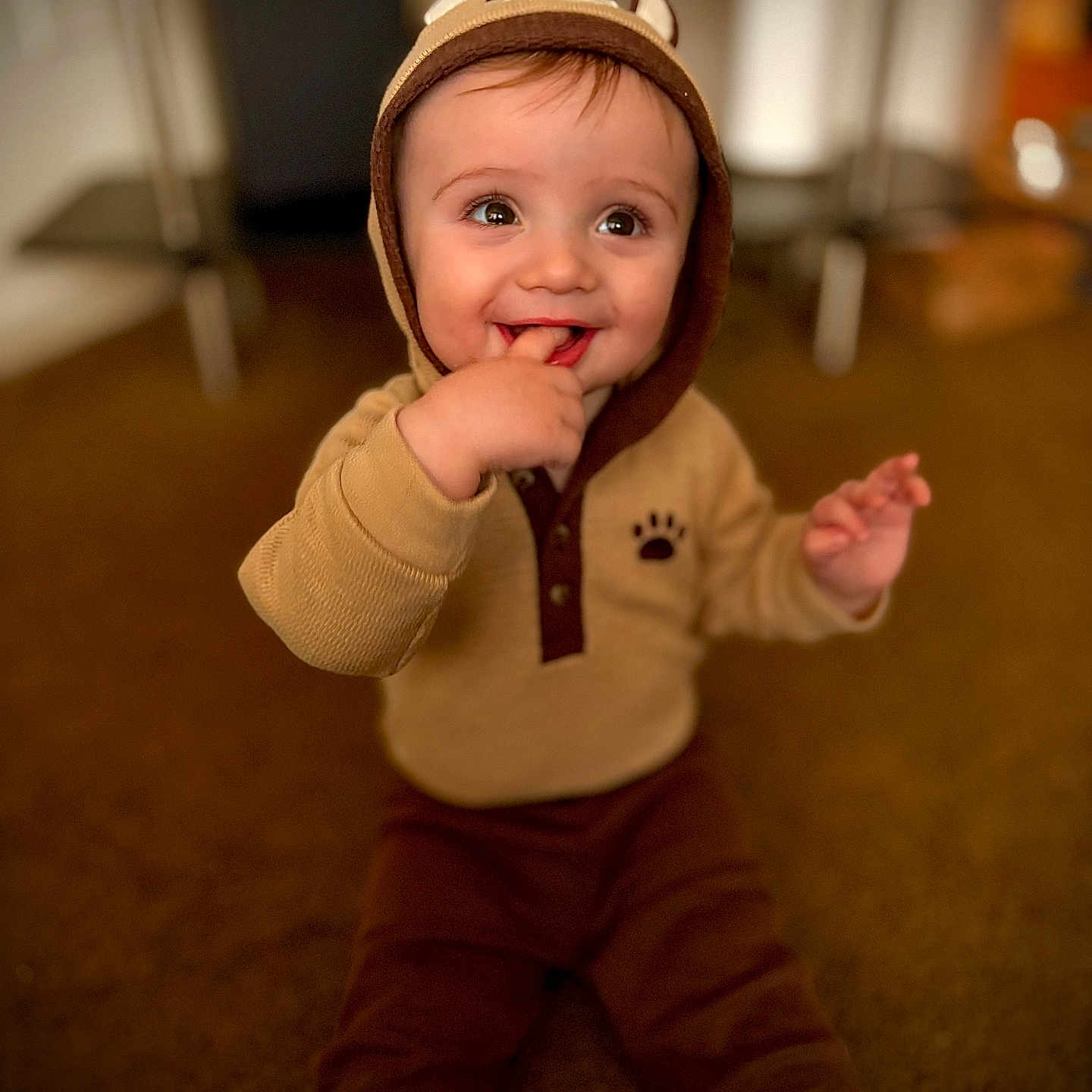 Mazen is registered to the contest to win money with this photo: baby, brown_clothing, carpet, child, cozy, cute, face, finger_in_mouth, happy, hoodie, indoor, infant, person, playful, portrait, sitting, smiling, soft_focus, warm_colors, young_child