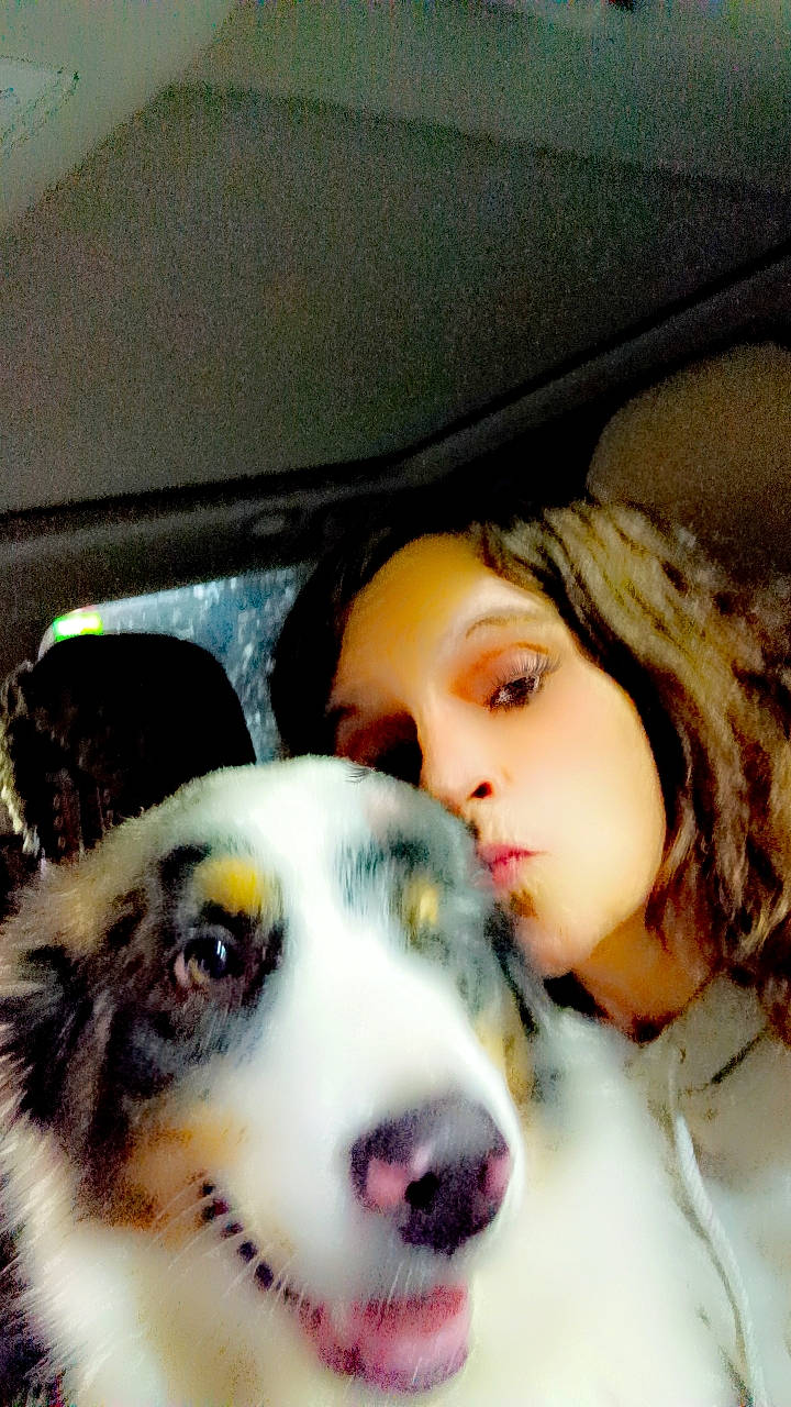 Blue is registered to the contest to win money with this photo: canidae, carnivore, companion_dog, dog, dog_breed, eyebrow, eyelash, eyewear, fur, happy, jaw, nose, selfie, snout, sporting_group, toy, vehicle_door, whiskers, working_animal, working_dog