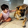 baby, child, dog, floor, tile, indoor, pet, smiling, sitting, playful, curious, pink_clothing, fur, ears, paws, collar, tag, home, friendship, interaction