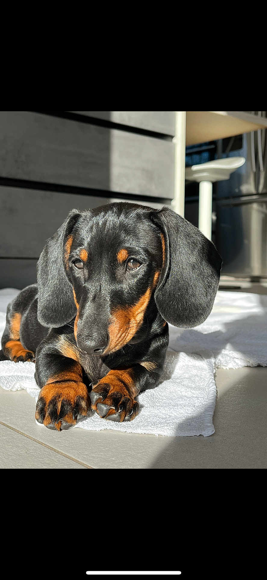 Vador