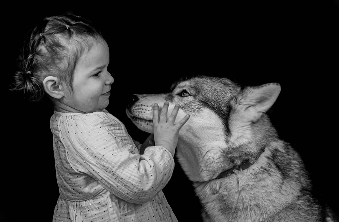 Kayla participe au concours pour gagner de l'argent avec cette photo : carnivore, companion_dog, dog_breed, fawn, felidae, flash_photography, gesture, hand, happy, jaw, joy, monochrome, monochrome_photography, person, small_to_medium_sized_cats, smile, snout, sporting_group, style, terrestrial_animal