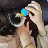 animal, baby_bottle, black_and_white, blanket, bracelet, cat, closeup, comfort, couch, cozy, cute, feeding, fur, hand, indoor, kitten, pet, small, soft, young