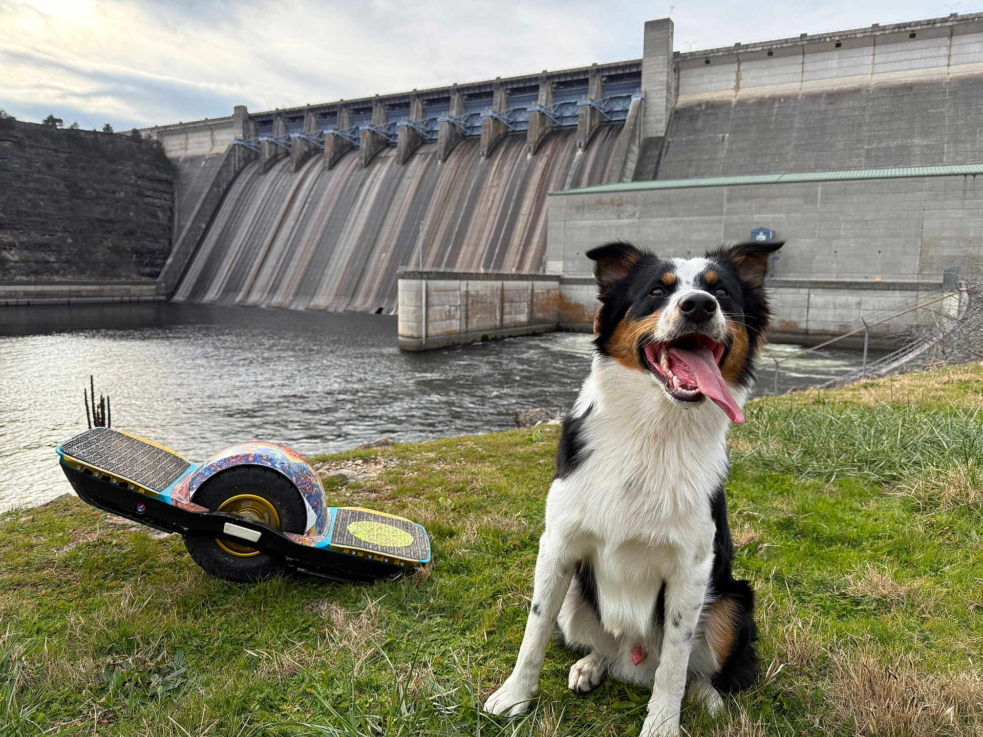 Captain Hook is registered to the contest to win money with this photo: dog, grass, dam, water, sky, cloudy, outdoor, one_wheel_board, happy, tongue_out, animal, nature, recreation, playful, pet, landscape, concrete_structure, river, leisure, daytime