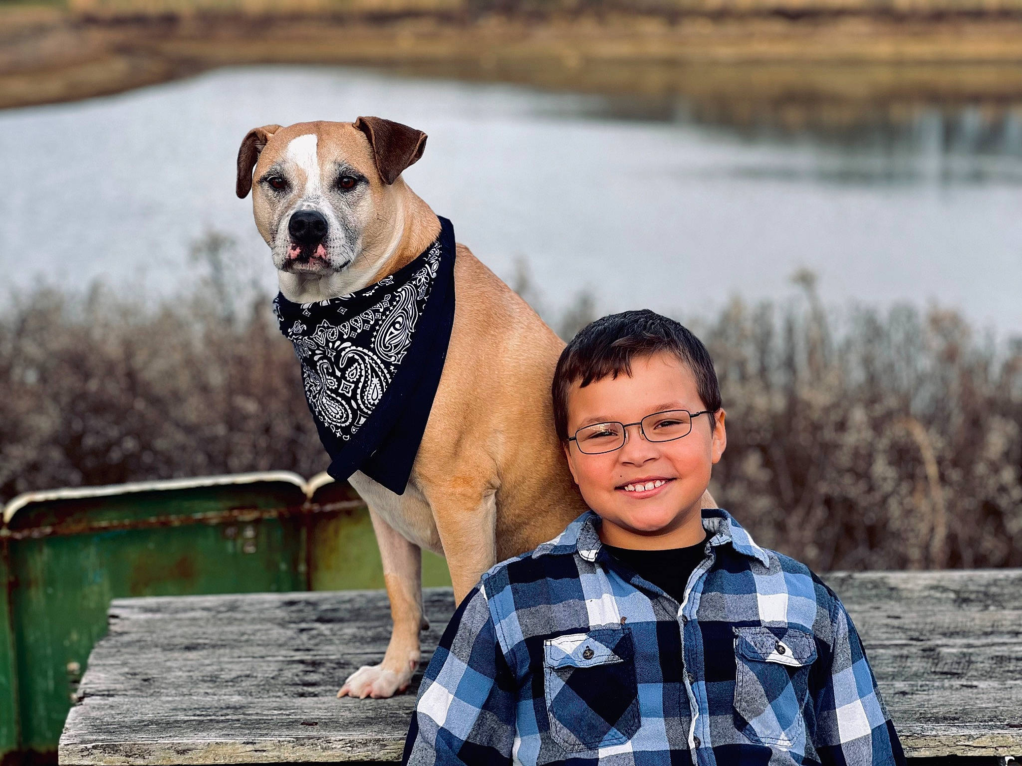 Cleo joined the competition — help win amazing prizes! carnivore, collar, companion_dog, dog, dog_breed, dog_collar, eyewear, fawn, grass, happy, lake, pattern, plaid, smile, snout, tail, tartan, water, wood, working_animal