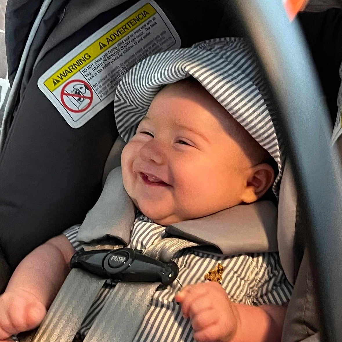 Massimo joined the competition — help win amazing prizes! baby, blade, clothing, coat, cushion, dagger, face, happy, hat, head, homedecor, jacket, knife, person, photography, portrait, smile, transportation, vehicle, weapon
