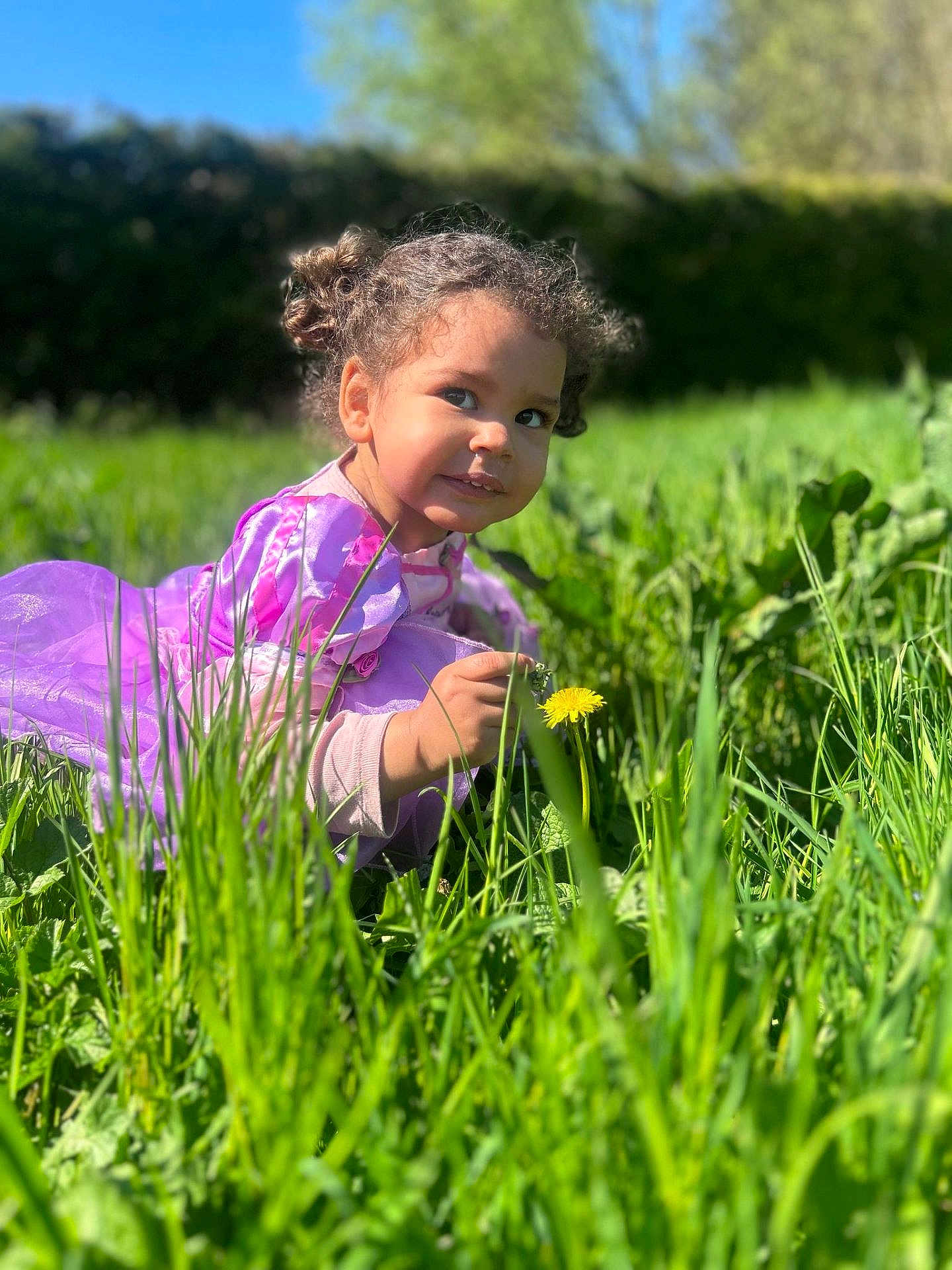 Lena a rejoint le concours — aidez-le/la à gagner de superbes lots ! child, toddler, purple_dress, grass, flower, dandelion, outdoor, nature, greenery, sunlight, curly_hair, garden, playful, crouching, daylight, smiling, person, portrait, young_child, happy