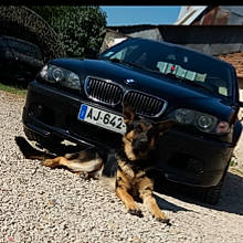 Snyper a rejoint le concours — aidez-le/la à gagner de superbes lots ! automotive_exterior, bmw, bmw_, bmw_series, bmw_x, bumper, car, crossover_suv, executive_car, family_car, luxury_vehicle, mid_size_car, performance_car, personal_luxury_car, road, sports_sedan, vehicle, vehicle_registration_plate