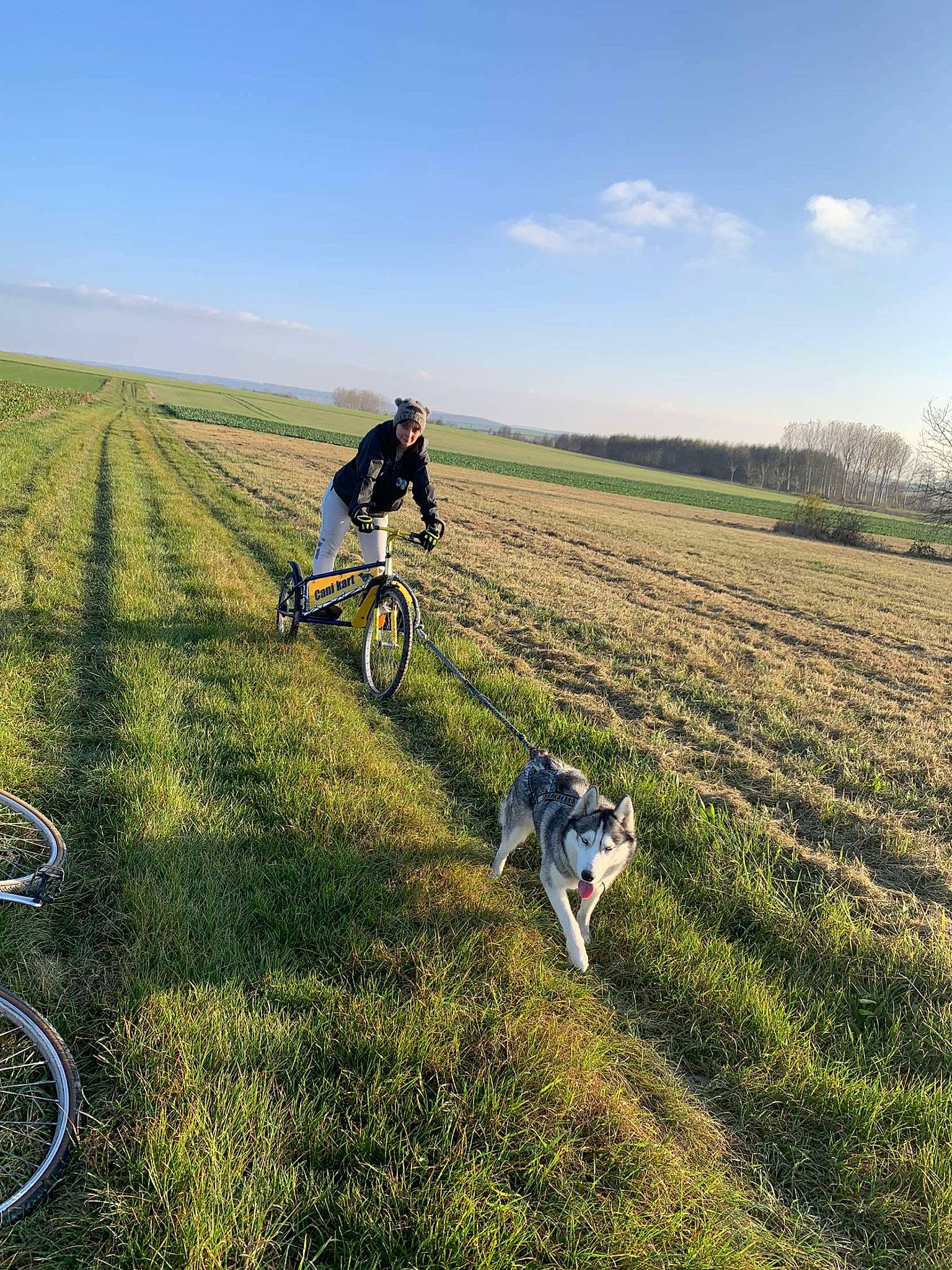 Slayka a rejoint le concours — aidez-le/la à gagner de superbes lots ! bicycle, bicycle_frame, bicycle_wheel, bicycles_equipment_and_supplies, carnivore, cloud, dog, dog_breed, grass, grassland, meadow, people_in_nature, plain, plant, recreation, sky, tire, tree, vehicle, wheel
