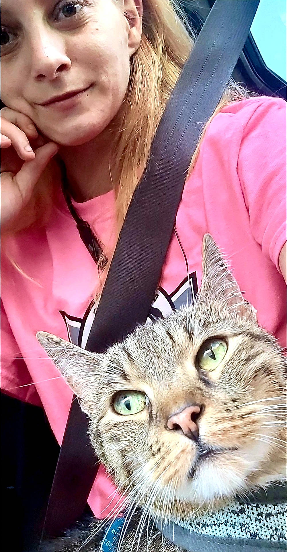 Snookums joined the competition — help win amazing prizes! carnivore, cat, cool, ear, eyelash, eyewear, facial_expression, felidae, gesture, human, necklace, organ, outerwear, photograph, pink, skin, sleeve, snapshot, street_fashion, whiskers