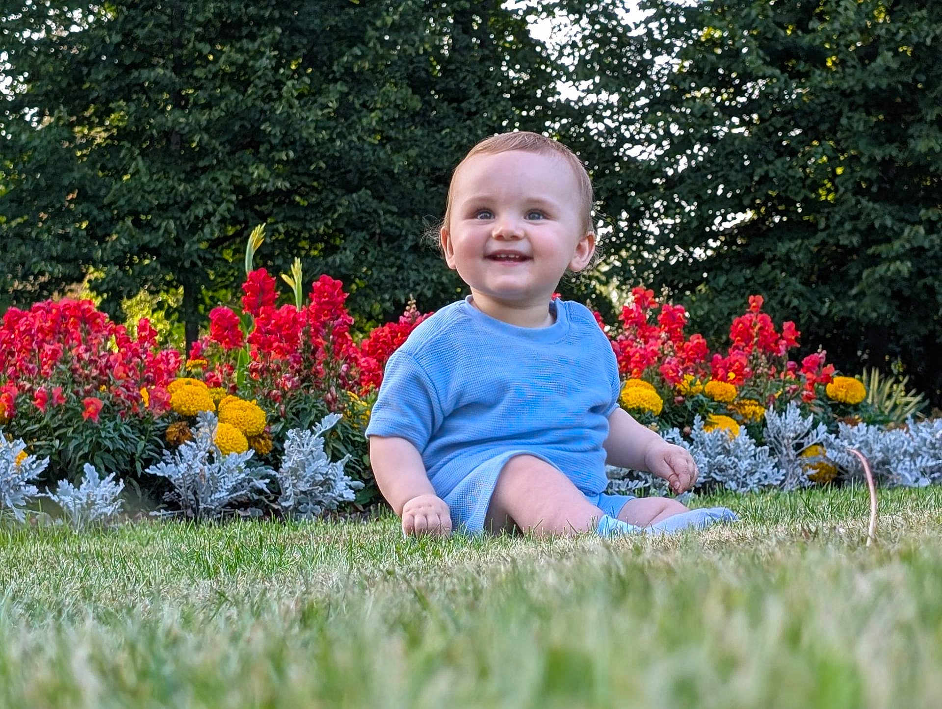 Eli is registered to the contest to win money with this photo: baby, child, grass, flowers, garden, outdoor, greenery, blue_clothing, smiling, sitting, nature, sunlight, flora, happy, portrait, infant, colorful, plants, daytime, cute