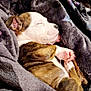 puppy, dog, sleeping, blanket, cozy, cute, fur, paw, snuggled, resting, pet, animal, young, domestic_animal, closeup, indoor, relaxing, mammal, fur_pattern, adorable