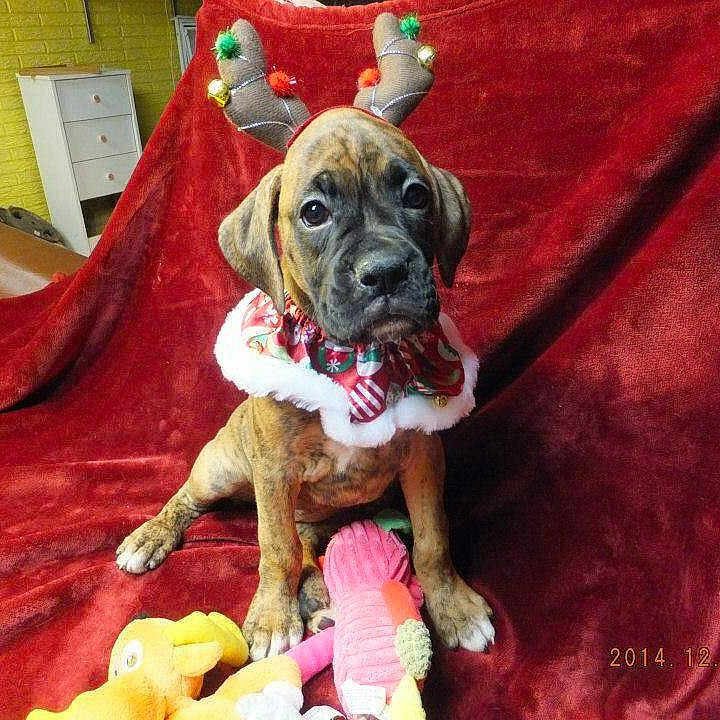 Elsa joined the competition — help win amazing prizes!