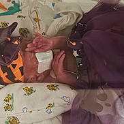 Kaylee joined the competition — help win amazing prizes! newborn, baby, infant, sleeping, blanket, swaddled, hat, orange, black, purple, hands, adult, nursery, bedding, cartoon, lion_pattern, closeup, lying_down, hospital_care, cozy