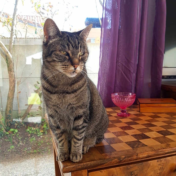 Mysti