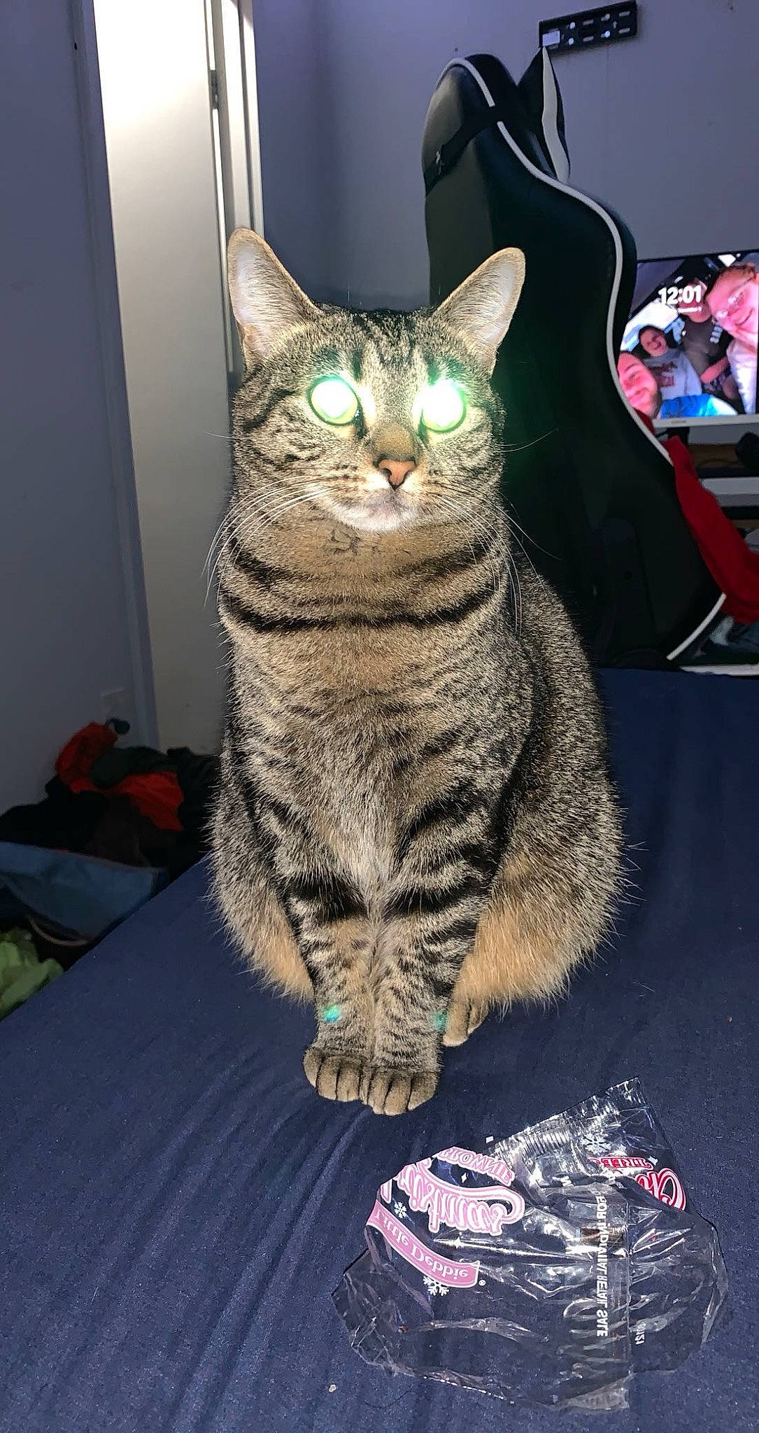 Abby is registered to the contest to win money with this photo: art, carnivore, cat, domestic_short_haired_cat, eye, felidae, fur, photo_caption, small_to_medium_sized_cats, snout, tail, whiskers