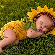 Connor joined the competition — help win amazing prizes! baby, sleeping, sunflower_costume, green_grass, nature, cute, infant, outdoor, flower, costume, child, peaceful, relaxing, soft_skin, cute_pose, photography, adorable, summer, headgear, resting