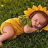baby, sleeping, sunflower_costume, green_grass, nature, cute, infant, outdoor, flower, costume, child, peaceful, relaxing, soft_skin, cute_pose, photography, adorable, summer, headgear, resting