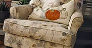 Ruby is registered to the contest to win money with this photo: dog, sleeping, armchair, fluffy, white, pillow, pumpkin, decorative_pillow, indoor, plant, window, blinds, wood_floor, home, cozy, curled_up, resting, furniture, quiet, pet