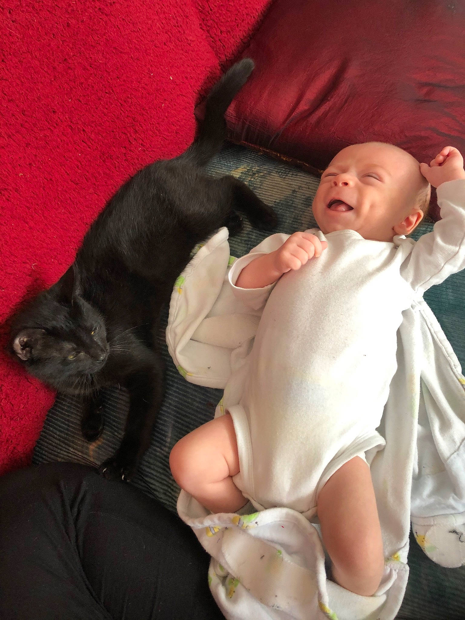 Yodie is registered to the contest to win money with this photo: baby, child, comfort, fawn, leg, smile, toddler