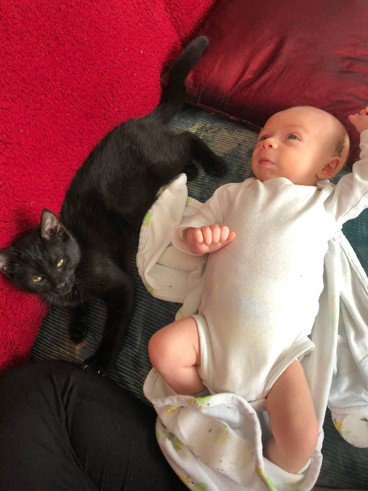 Yodie joined the competition — help win amazing prizes! baby, child, comfort, fawn, lap, leg, sole, toddler