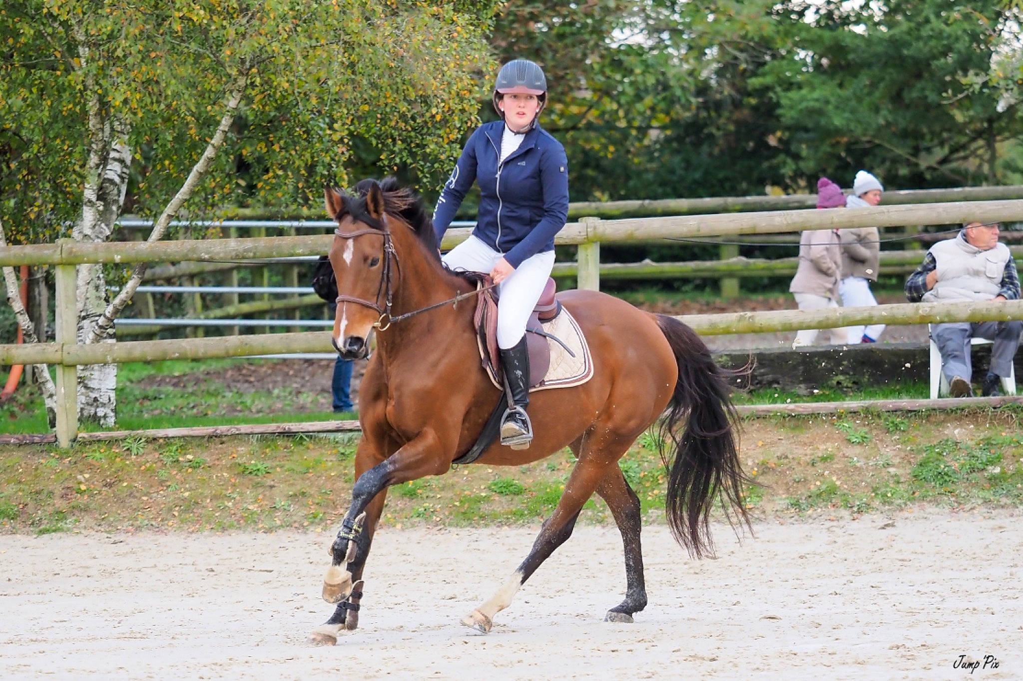 Fille participe au concours pour gagner de l'argent avec cette photo : animal_sports, bridle, english_riding, equestrian, equestrian_sport, equestrianism, equitation, halter, horse, horse_supplies, horse_tack, hunt_seat, mammal, mane, outdoor_recreation, recreation, rein, saddle, sports, vertebrate