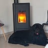 Neptune a rejoint le concours — aidez-le/la à gagner de superbes lots ! dog, black_dog, large_dog, fluffy, long_hair, lying_down, tongue_out, pet, animal, wood_stove, fireplace, flames, indoor, home, tile_floor, furniture, chair, wall, cozy, portrait