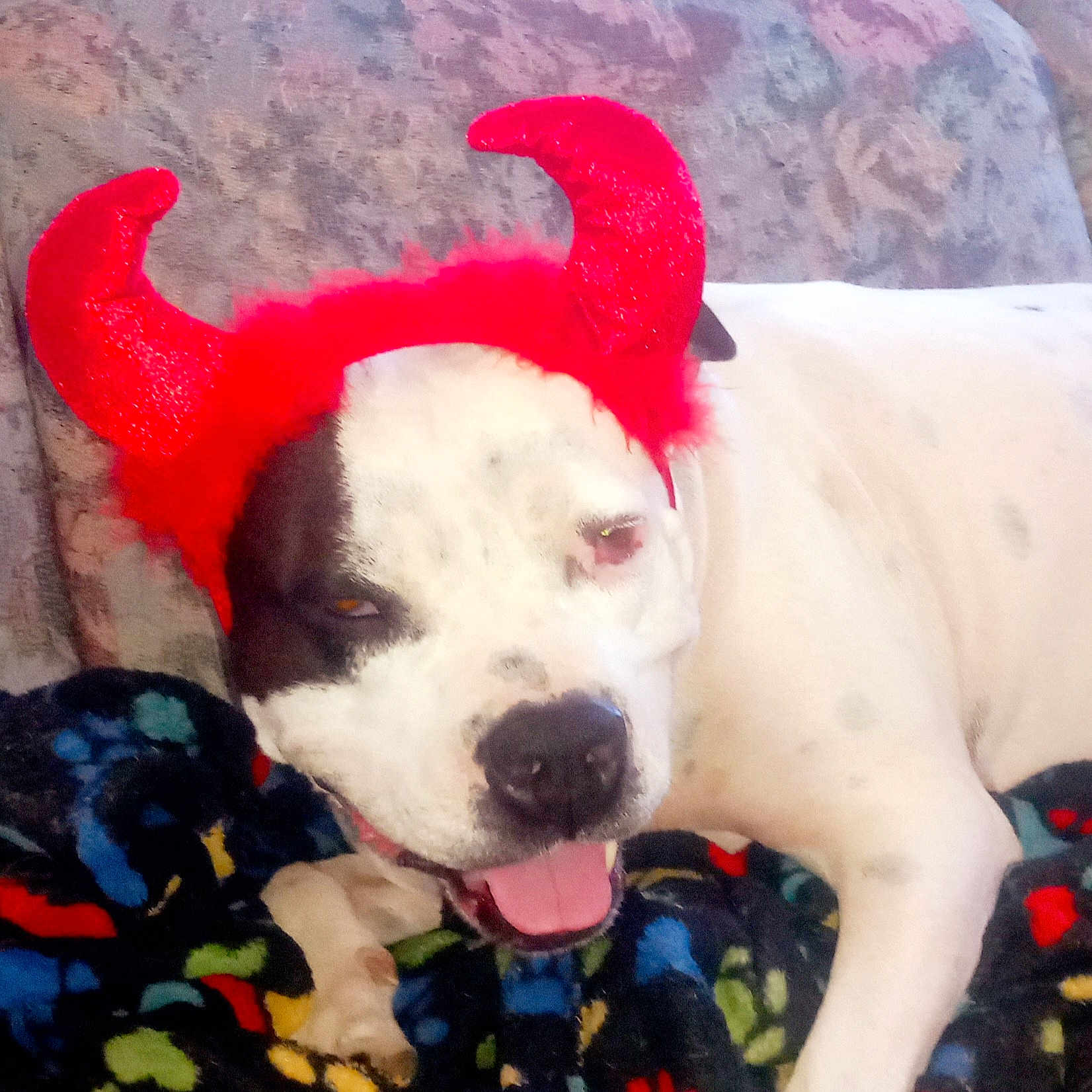 Missy Lou