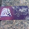 Cyrille B.