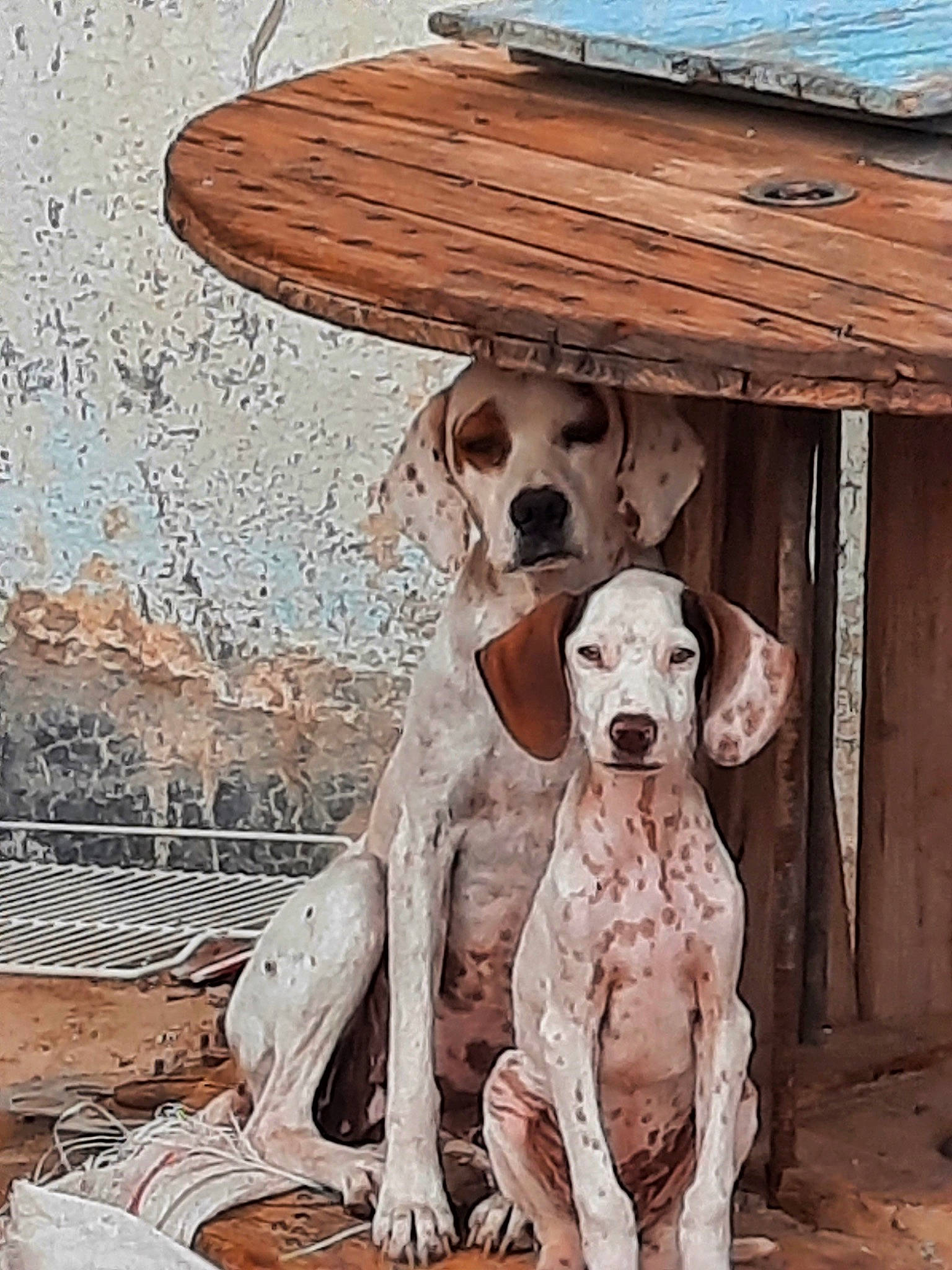 Sousou Et Son Fils Django