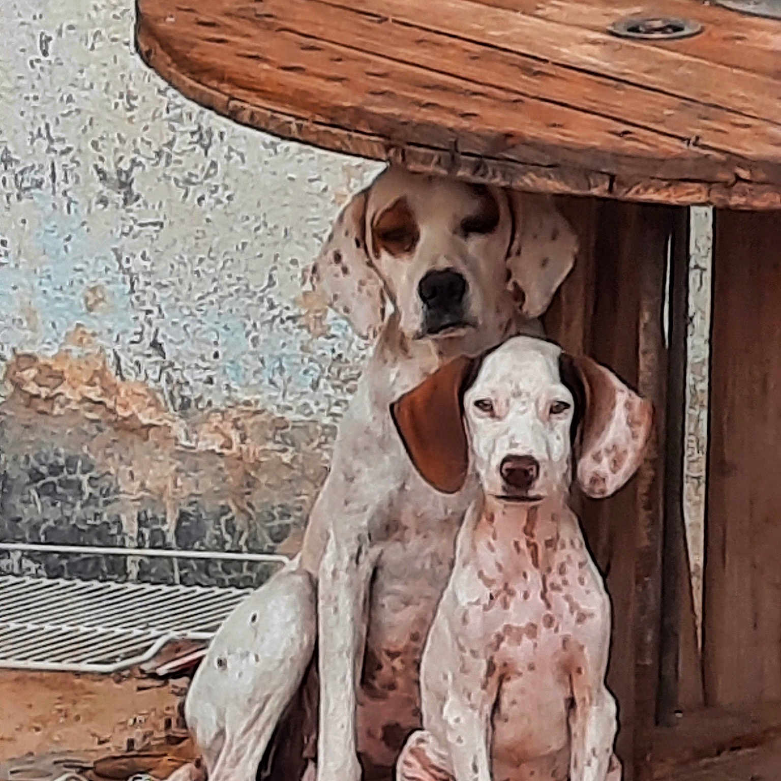 Sousou Et Son Fils Django