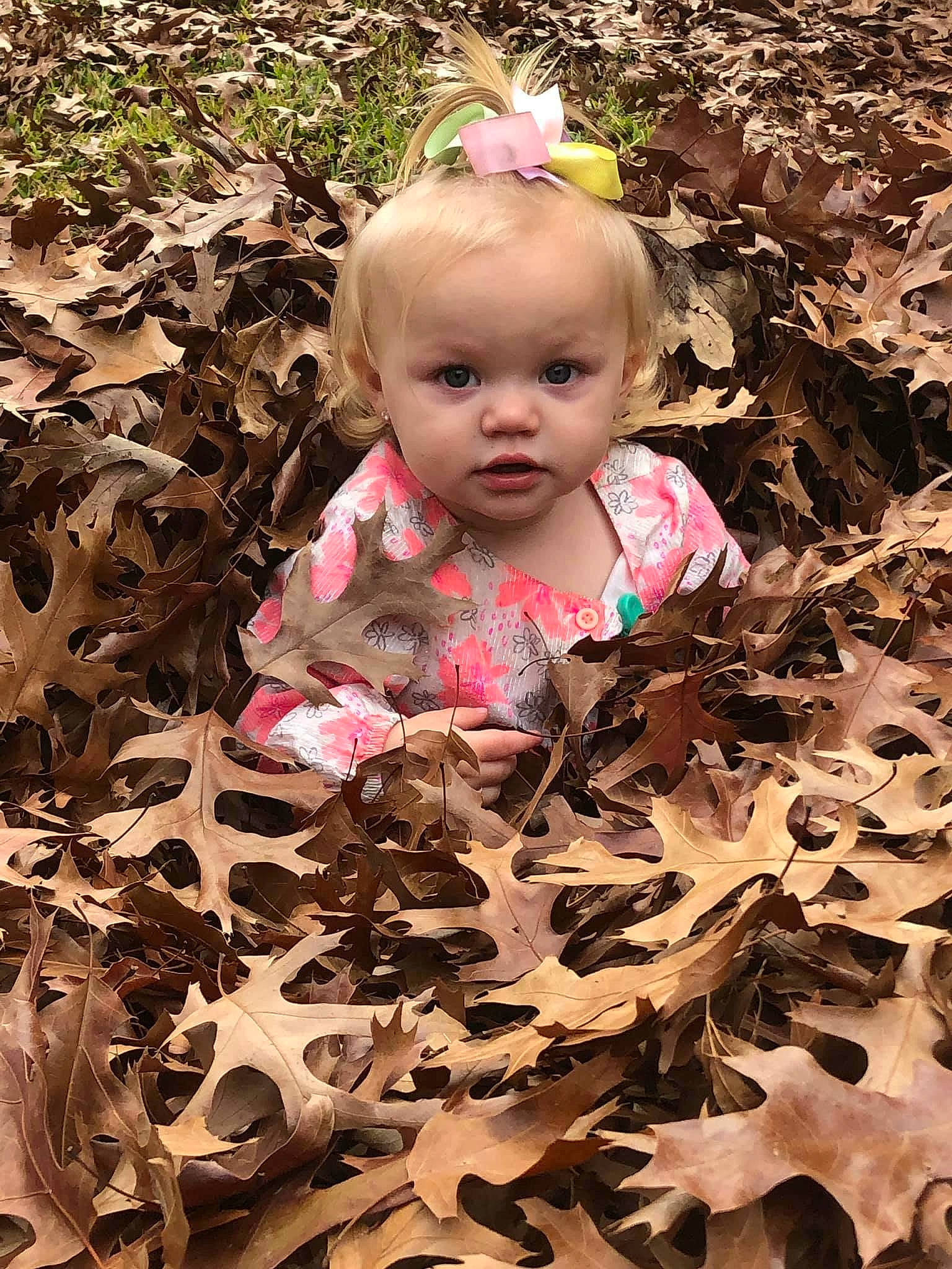 Sailor is registered to the contest to win money with this photo: adaptation, autumn, baby, baby_toddler_clothing, child, fawn, leaf, pattern, person, pink, plant, play, toddler, tree