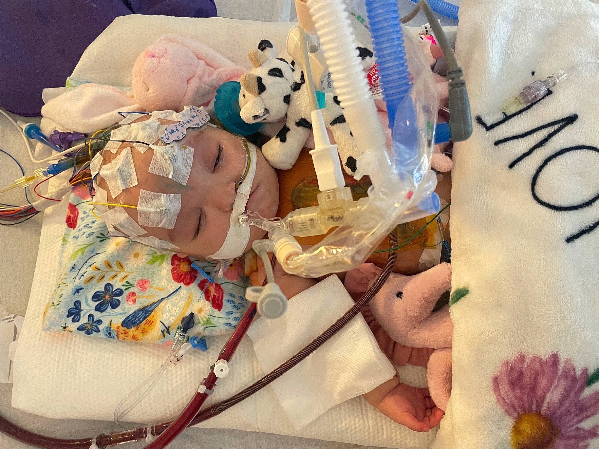 Charlotte is registered to the contest to win money with this photo: art, bag, child, craft, fashion, fashion_accessory, fashion_design, font, headwear, illustration, linens, paper, paper_product, pattern, peach, person, petal, room, stationery, stuffed_toy