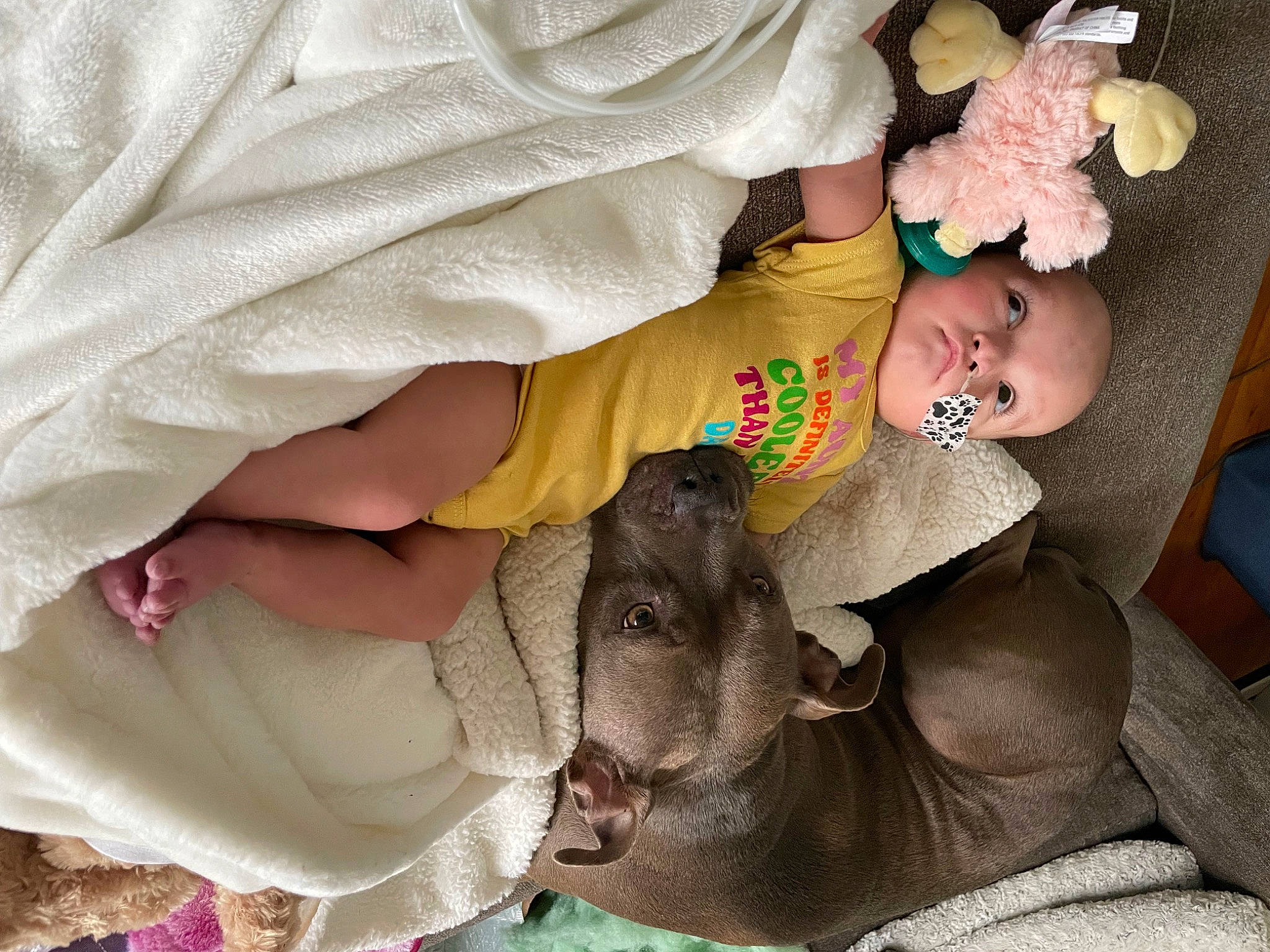 Charlotte is registered to the contest to win money with this photo: baby, child, doll, fawn, finger, hand, happy, mouth, nail, organ, person, pink, skin, stuffed_toy, terrestrial_animal, textile, toddler, toy, white, working_animal