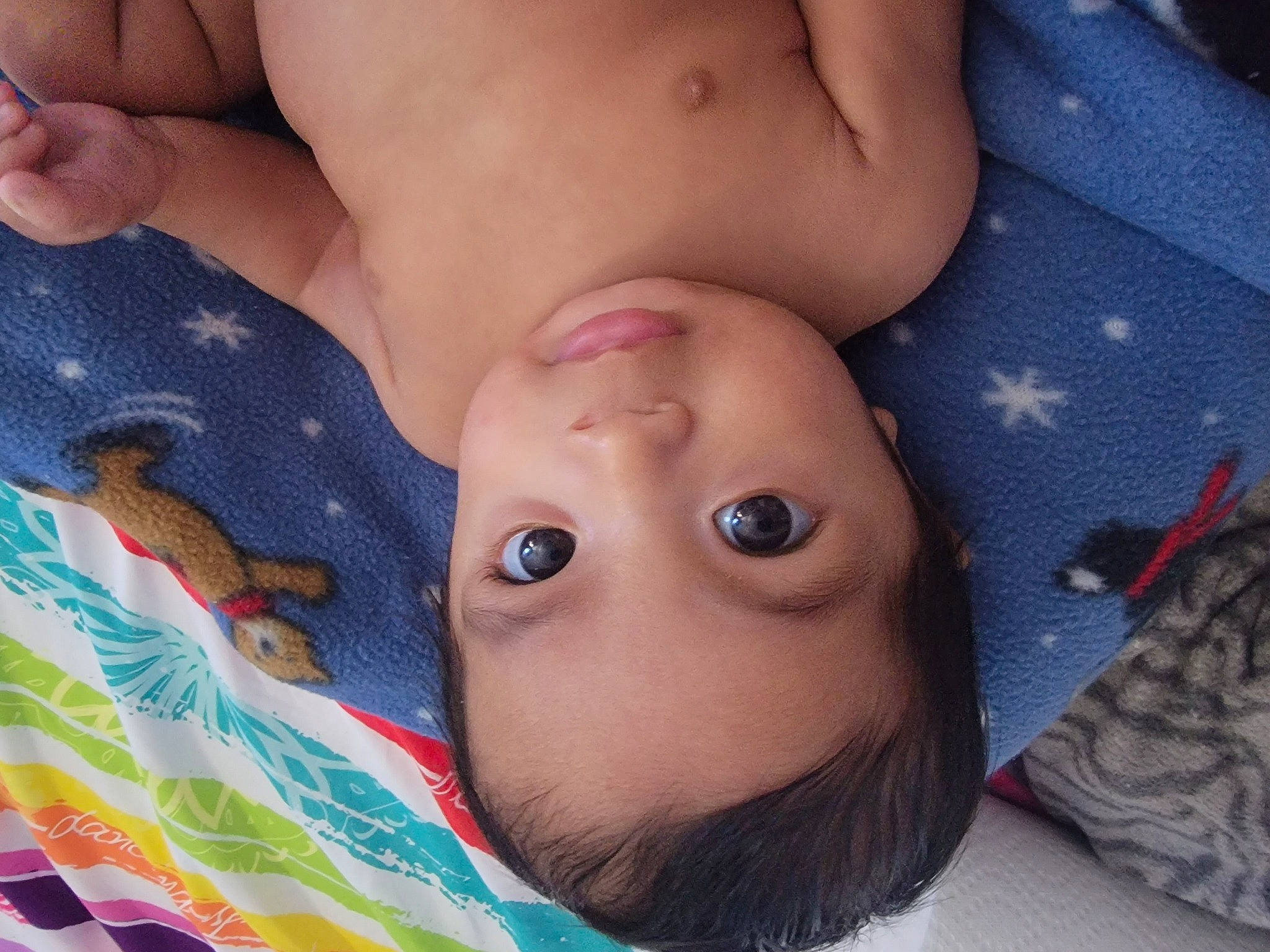 Elvis joined the competition — help win amazing prizes! abdomen, baby, cheek, chest, child, close_up, eye, eyelash, foot, gesture, happy, head, lip, nail, navel, nose, pattern, person, skin, thumb