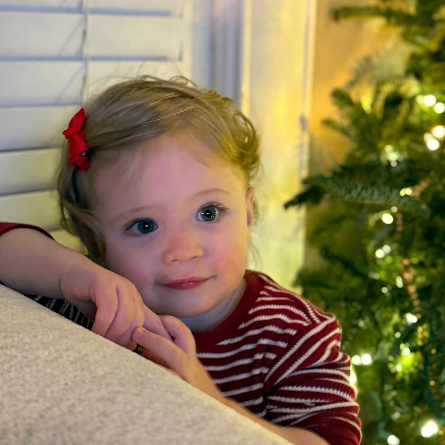 Arabella is registered to the contest to win money with this photo: accessories, baby, bodypart, clothing, conifer, couch, face, finger, fir, furniture, hand, happy, head, knitwear, person, photography, plant, portrait, smile, tree