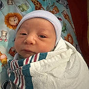 Luke is registered to the contest to win money with this photo: newborn, baby, infant, swaddled, blanket, hat, face, sleepy, animal_print, quilt, lion, giraffe, frog, cute, indoors, portrait, child, resting, soft, cozy