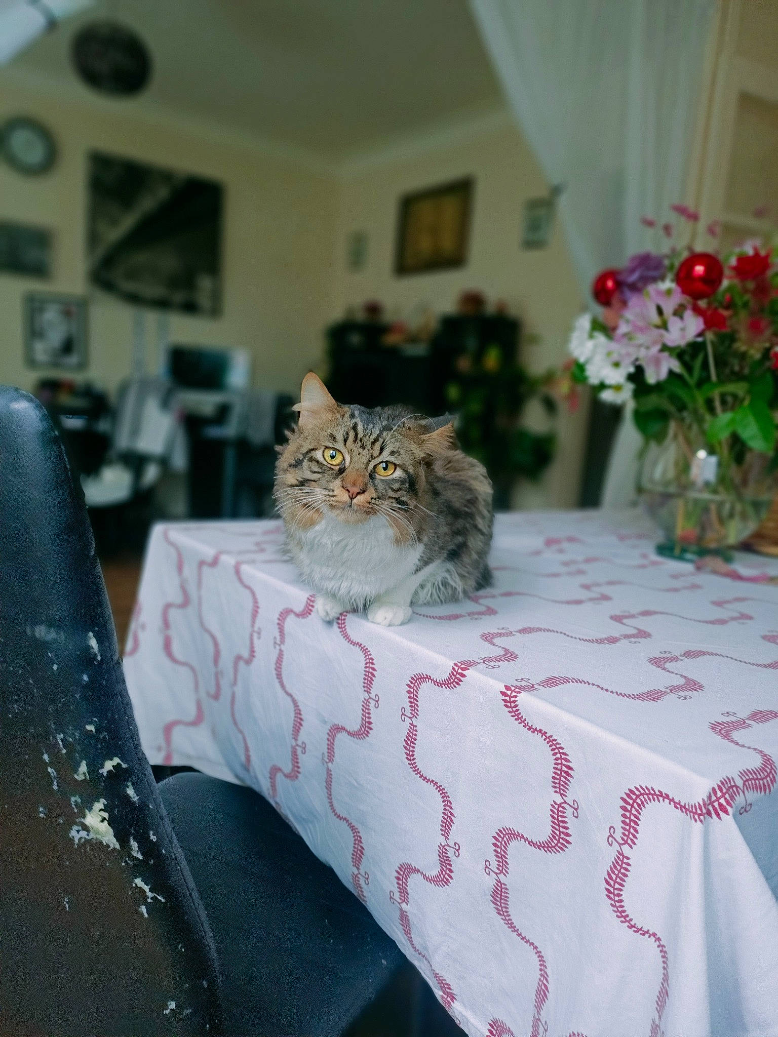 Hermes participe au concours pour gagner de l'argent avec cette photo : bouquet, carnivore, cat, creative_arts, felidae, flower_arranging, fur, home, home_accessories, interior_design, linens, petal, picture_frame, room, small_to_medium_sized_cats, tablecloth, textile, vertebrate, whiskers