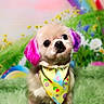 animal, bandana, bright, colorful, cute, decorative, dog, flowers, fluffy, fuzzy_surface, green_grass, happy, logo, pet, pink_ears, pink_paws, portrait, rainbow, studio, whimsical